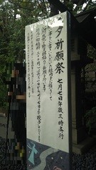 (株)松屋撮影：東京大神宮七夕祈願祭
