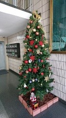 飯田橋の不動産会社(株)松屋撮影：クリスマスツリー