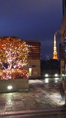 (株)松屋撮影：六本木ヒルズクリスマスイルミネーション風景