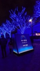 飯田橋の不動産会社(株)松屋撮影：青の洞窟ＳＨＩＢＵＹＡイルミネーション写真