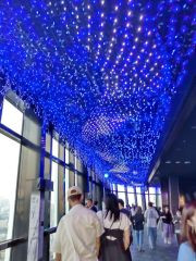 東京タワー　七夕イルミネーション